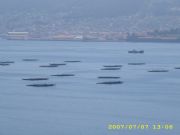 MEJILLONERAS EN LA RIA DE PONTEVEDRA